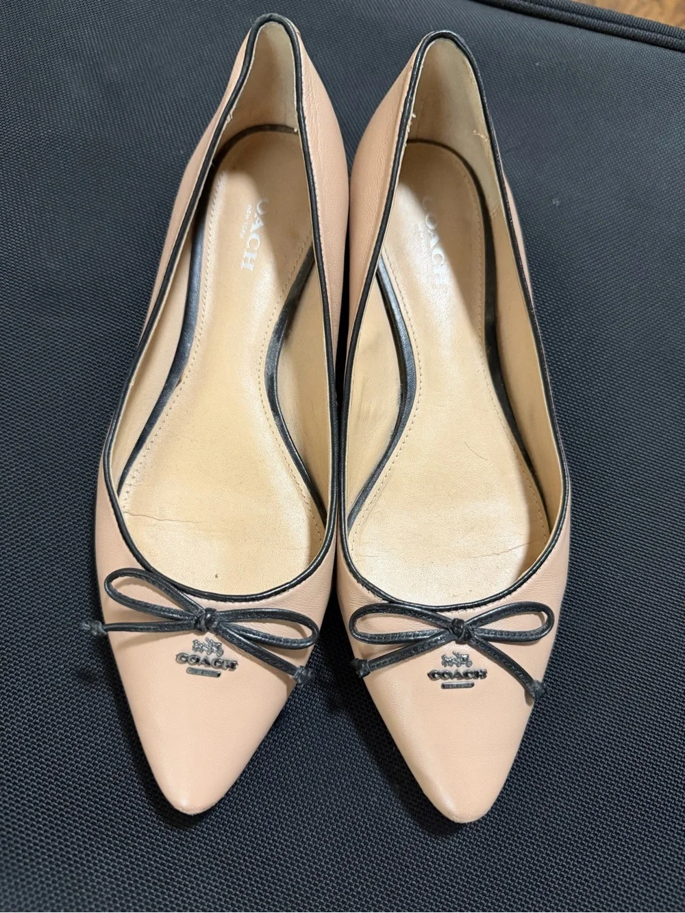 Coach women pointed